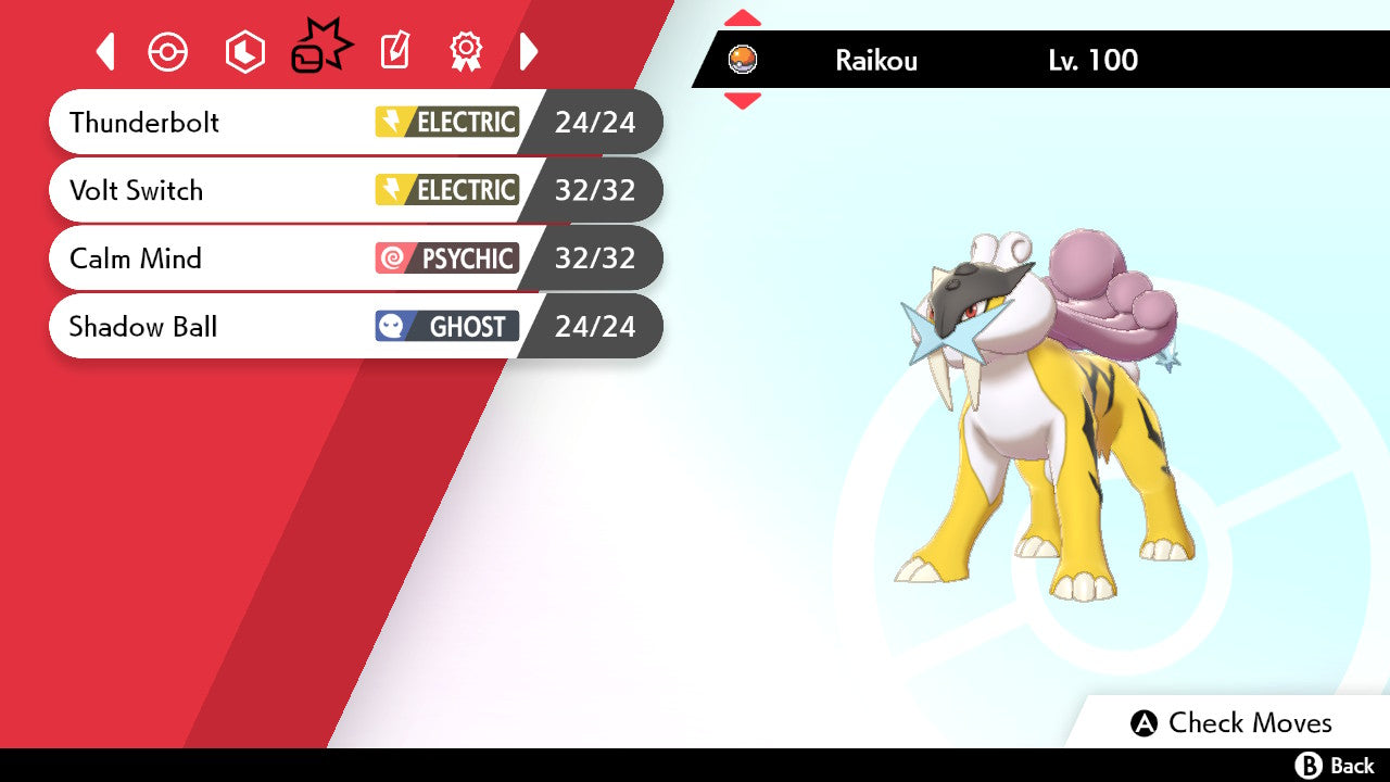 #243 Raikou