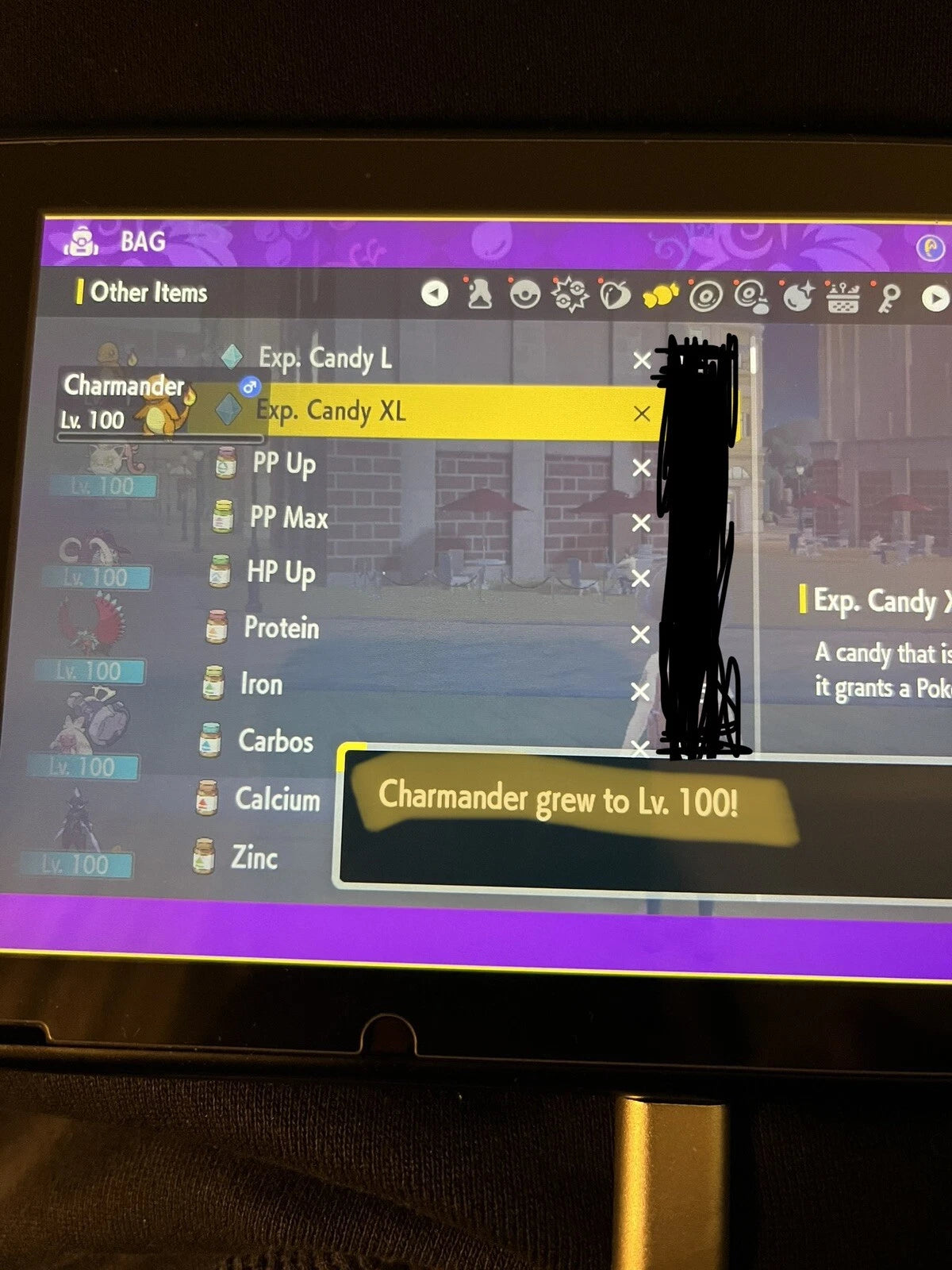 Pokemon Scarlet and Violet Power Level to 100